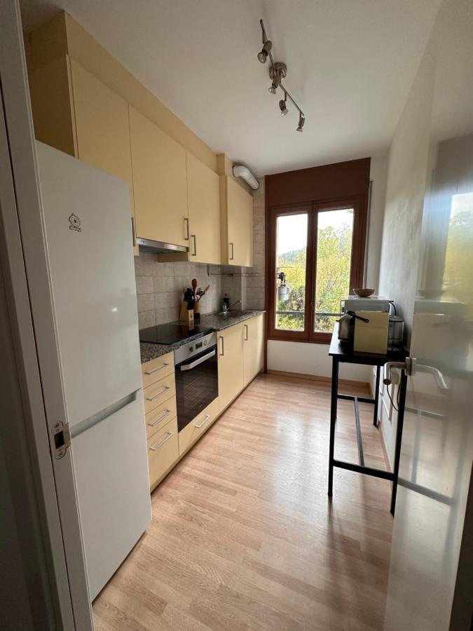 El Bressol De La Muntanya Apartment Ripoll Exterior photo